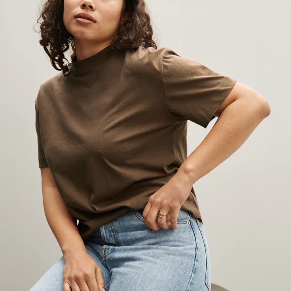 Everlane organic cotton icon tee in walnut